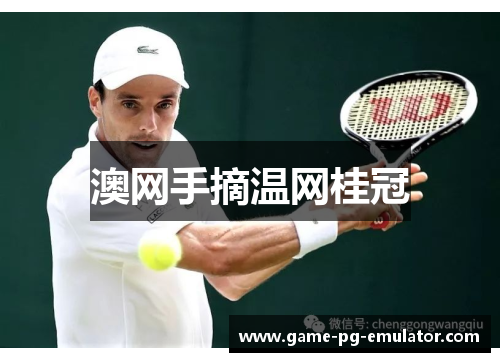 澳网手摘温网桂冠 澳网手摘温网桂冠