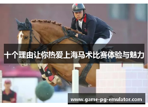 十个理由让你热爱上海马术比赛体验与魅力