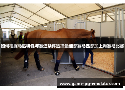 如何根据马匹特性与赛道条件选择最佳参赛马匹参加上海赛马比赛 如何根据马匹特性与赛道条件选择最佳参赛马匹参加上海赛马比赛