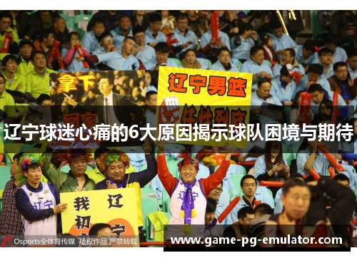 辽宁球迷心痛的6大原因揭示球队困境与期待 辽宁球迷心痛的6大原因揭示球队困境与期待