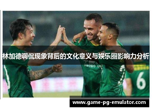 林加德调侃现象背后的文化意义与娱乐圈影响力分析