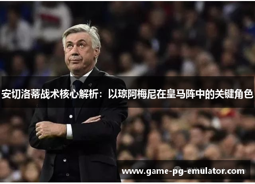 安切洛蒂战术核心解析：以琼阿梅尼在皇马阵中的关键角色