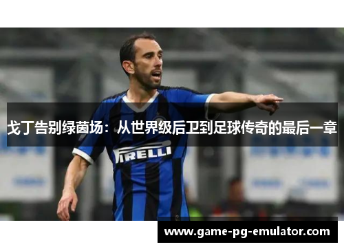 戈丁告别绿茵场：从世界级后卫到足球传奇的最后一章